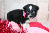 processed/1a0c54f3-cf9e-45c9-ad72-b18cdc9a7753/listing/4e833cf6-1f77-4145-b15b-4b17e3998f87/f97cca0e-3178-4b48-b044-b6b4946f8eff