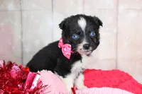 processed/1a0c54f3-cf9e-45c9-ad72-b18cdc9a7753/listing/4e833cf6-1f77-4145-b15b-4b17e3998f87/fd5e6a41-9202-4ff3-a234-776ab54ab909