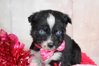 processed/1a0c54f3-cf9e-45c9-ad72-b18cdc9a7753/listing/4e833cf6-1f77-4145-b15b-4b17e3998f87/ff2c27fa-b3d7-4a97-88a4-3781a5e6a25e