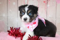 processed/1a0c54f3-cf9e-45c9-ad72-b18cdc9a7753/listing/58dc7dd0-9e35-424d-a347-3809c5dc2c5b/0aa37341-2fe3-4685-9d9d-03d9686543cd