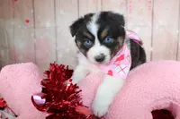 processed/1a0c54f3-cf9e-45c9-ad72-b18cdc9a7753/listing/58dc7dd0-9e35-424d-a347-3809c5dc2c5b/174eb994-5bd8-4673-b724-3bd4652150da