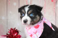 processed/1a0c54f3-cf9e-45c9-ad72-b18cdc9a7753/listing/58dc7dd0-9e35-424d-a347-3809c5dc2c5b/6e101b0a-f967-41f9-9b30-a5728107a949