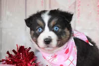 processed/1a0c54f3-cf9e-45c9-ad72-b18cdc9a7753/listing/58dc7dd0-9e35-424d-a347-3809c5dc2c5b/ac3d024c-b8d9-446e-b384-2b542d23d5b5