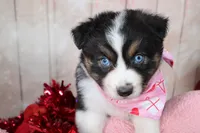 processed/1a0c54f3-cf9e-45c9-ad72-b18cdc9a7753/listing/58dc7dd0-9e35-424d-a347-3809c5dc2c5b/d17645fa-313a-4272-925a-e8e64134d81b