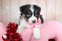 processed/1a0c54f3-cf9e-45c9-ad72-b18cdc9a7753/listing/58dc7dd0-9e35-424d-a347-3809c5dc2c5b/e127a19c-9152-4624-a03c-3bd3bf01979b