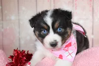 processed/1a0c54f3-cf9e-45c9-ad72-b18cdc9a7753/listing/58dc7dd0-9e35-424d-a347-3809c5dc2c5b/e6edc2c3-b946-4e97-9a4b-ef543d71c033