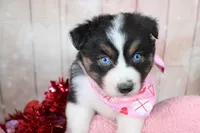 processed/1a0c54f3-cf9e-45c9-ad72-b18cdc9a7753/listing/58dc7dd0-9e35-424d-a347-3809c5dc2c5b/fb128b82-7153-4dd3-9f87-a1837d02b81f