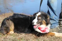 processed/1a0c54f3-cf9e-45c9-ad72-b18cdc9a7753/listing/5d61b76d-e697-49f6-8bf5-bec821023a89/12f0e292-b811-4ec5-8fbd-8c5dab948cbb