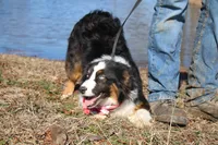 processed/1a0c54f3-cf9e-45c9-ad72-b18cdc9a7753/listing/5d61b76d-e697-49f6-8bf5-bec821023a89/40d0dbf0-3ef7-42cc-a1cc-bdb0421ff3d3