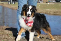 processed/1a0c54f3-cf9e-45c9-ad72-b18cdc9a7753/listing/5d61b76d-e697-49f6-8bf5-bec821023a89/4330c16c-3786-412e-b0dd-684cc5d49923