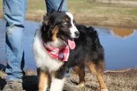 processed/1a0c54f3-cf9e-45c9-ad72-b18cdc9a7753/listing/5d61b76d-e697-49f6-8bf5-bec821023a89/74fa086b-27b4-4f7f-a1e7-cab80bc65eaf