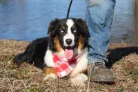 processed/1a0c54f3-cf9e-45c9-ad72-b18cdc9a7753/listing/5d61b76d-e697-49f6-8bf5-bec821023a89/802c6b39-ac44-45c3-942f-2e47b071f648