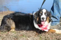 processed/1a0c54f3-cf9e-45c9-ad72-b18cdc9a7753/listing/5d61b76d-e697-49f6-8bf5-bec821023a89/9681eb9a-1ba7-433a-89ef-4262f94da6e1