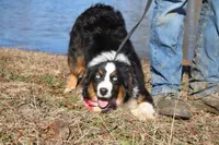 processed/1a0c54f3-cf9e-45c9-ad72-b18cdc9a7753/listing/5d61b76d-e697-49f6-8bf5-bec821023a89/9f4b3e11-032a-4df8-b597-fac93d717870