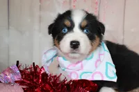 processed/1a0c54f3-cf9e-45c9-ad72-b18cdc9a7753/listing/65a2e3b2-1e5f-41d6-9562-92e76e9eaf99/0fa265cf-e1d5-47e3-89b9-abda94591574