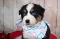 processed/1a0c54f3-cf9e-45c9-ad72-b18cdc9a7753/listing/65a2e3b2-1e5f-41d6-9562-92e76e9eaf99/936bf869-18d1-4b46-81c5-896318e09f94