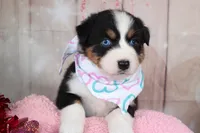 processed/1a0c54f3-cf9e-45c9-ad72-b18cdc9a7753/listing/65a2e3b2-1e5f-41d6-9562-92e76e9eaf99/96f2a6d7-ff0d-48fb-be8d-caebbb1fd108