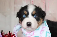 processed/1a0c54f3-cf9e-45c9-ad72-b18cdc9a7753/listing/65a2e3b2-1e5f-41d6-9562-92e76e9eaf99/c6100122-a382-4923-9843-459d4ab6796e