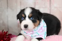 processed/1a0c54f3-cf9e-45c9-ad72-b18cdc9a7753/listing/65a2e3b2-1e5f-41d6-9562-92e76e9eaf99/f31e6c0b-c8f9-4609-9ad3-58f107debd38