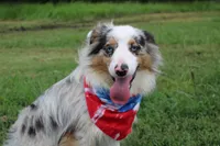 processed/1a0c54f3-cf9e-45c9-ad72-b18cdc9a7753/listing/6e5739cc-717c-4235-afad-8ea1610faf3d/2c60dfe0-2ebf-4497-8685-9d5554239597