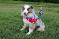 processed/1a0c54f3-cf9e-45c9-ad72-b18cdc9a7753/listing/6e5739cc-717c-4235-afad-8ea1610faf3d/5d10ad3e-2f56-4684-a9ae-f43985dd3e49