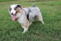 processed/1a0c54f3-cf9e-45c9-ad72-b18cdc9a7753/listing/6e5739cc-717c-4235-afad-8ea1610faf3d/93c89013-ea60-4081-81ce-6dc585a6310f