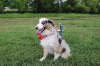 processed/1a0c54f3-cf9e-45c9-ad72-b18cdc9a7753/listing/6e5739cc-717c-4235-afad-8ea1610faf3d/ce296dab-3c56-4038-8611-56eb3c5697e2