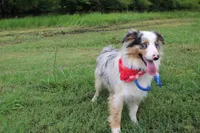 processed/1a0c54f3-cf9e-45c9-ad72-b18cdc9a7753/listing/6e5739cc-717c-4235-afad-8ea1610faf3d/d0a41b3e-7d1a-4e6b-9dd3-aea615fbee04