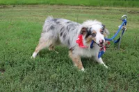 processed/1a0c54f3-cf9e-45c9-ad72-b18cdc9a7753/listing/6e5739cc-717c-4235-afad-8ea1610faf3d/d31b323f-f808-4b38-9b97-2504d419548e