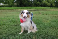 processed/1a0c54f3-cf9e-45c9-ad72-b18cdc9a7753/listing/6e5739cc-717c-4235-afad-8ea1610faf3d/fb763d7e-e78d-4361-8884-7385ba7d0c47