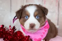 processed/1a0c54f3-cf9e-45c9-ad72-b18cdc9a7753/listing/89cf528d-c35e-490d-acc8-212809bca542/049e2f14-d856-4ad2-b200-74c3211032de