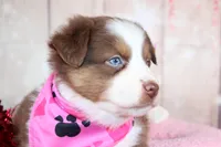 processed/1a0c54f3-cf9e-45c9-ad72-b18cdc9a7753/listing/89cf528d-c35e-490d-acc8-212809bca542/06be56c7-de70-4ae8-9cf8-69fc6bdca6c5