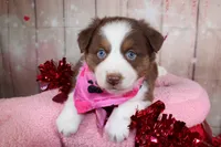 processed/1a0c54f3-cf9e-45c9-ad72-b18cdc9a7753/listing/89cf528d-c35e-490d-acc8-212809bca542/3a62f148-402a-49f1-971a-6dc1eea5028a