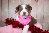 processed/1a0c54f3-cf9e-45c9-ad72-b18cdc9a7753/listing/89cf528d-c35e-490d-acc8-212809bca542/6d1a46d6-6ce0-485b-82ec-14efe7279ddc