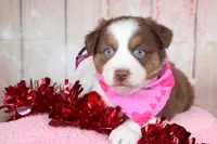 processed/1a0c54f3-cf9e-45c9-ad72-b18cdc9a7753/listing/89cf528d-c35e-490d-acc8-212809bca542/8e617911-c52c-4670-a071-b7efd5d25c62