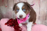 processed/1a0c54f3-cf9e-45c9-ad72-b18cdc9a7753/listing/89cf528d-c35e-490d-acc8-212809bca542/e14968a1-58b5-4615-becb-b4009e323342