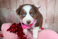 processed/1a0c54f3-cf9e-45c9-ad72-b18cdc9a7753/listing/89cf528d-c35e-490d-acc8-212809bca542/feb46bcf-bbcb-4b0a-ac03-0cccec288376