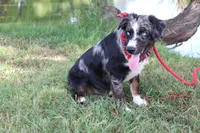 processed/1a0c54f3-cf9e-45c9-ad72-b18cdc9a7753/listing/a24689de-1924-4692-8fb0-86c3fe449a06/1f0df320-8d0f-443d-bf8a-bf5409bb6b6f