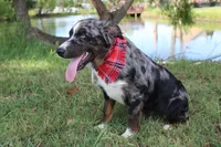 processed/1a0c54f3-cf9e-45c9-ad72-b18cdc9a7753/listing/a24689de-1924-4692-8fb0-86c3fe449a06/267eb396-7770-40d0-a7c7-9a6aba012b30