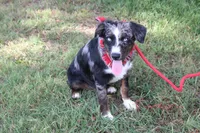 processed/1a0c54f3-cf9e-45c9-ad72-b18cdc9a7753/listing/a24689de-1924-4692-8fb0-86c3fe449a06/68e036fd-3268-47f6-9163-f870e6a54614