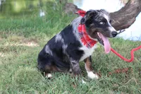 processed/1a0c54f3-cf9e-45c9-ad72-b18cdc9a7753/listing/a24689de-1924-4692-8fb0-86c3fe449a06/9a4b0a24-91ee-4dcf-ab9c-3126a4a45f8b