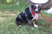 processed/1a0c54f3-cf9e-45c9-ad72-b18cdc9a7753/listing/a24689de-1924-4692-8fb0-86c3fe449a06/a32a8895-a4d2-4375-89d6-5879999c9284