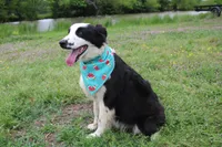 processed/1a0c54f3-cf9e-45c9-ad72-b18cdc9a7753/listing/a9af218e-cc69-4ec3-be97-57dbae5d255d/0ee48431-68b4-454c-b4e6-61a056e62d77