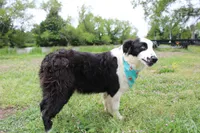 processed/1a0c54f3-cf9e-45c9-ad72-b18cdc9a7753/listing/a9af218e-cc69-4ec3-be97-57dbae5d255d/63221ceb-b944-4b48-b406-f20307103a9a