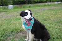 processed/1a0c54f3-cf9e-45c9-ad72-b18cdc9a7753/listing/a9af218e-cc69-4ec3-be97-57dbae5d255d/6eab2d3e-9de2-45fc-bb6a-d223b0b85d27