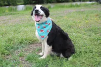 processed/1a0c54f3-cf9e-45c9-ad72-b18cdc9a7753/listing/a9af218e-cc69-4ec3-be97-57dbae5d255d/6fc1c9d6-4a20-4dd8-abfd-54f71f1736d2