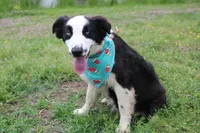 processed/1a0c54f3-cf9e-45c9-ad72-b18cdc9a7753/listing/a9af218e-cc69-4ec3-be97-57dbae5d255d/713263e8-813f-42ea-8b29-3120d105164a