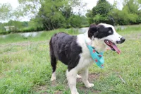 processed/1a0c54f3-cf9e-45c9-ad72-b18cdc9a7753/listing/a9af218e-cc69-4ec3-be97-57dbae5d255d/d62d37dd-9902-4346-a74f-f29ce1eb8ee1