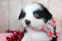 processed/1a0c54f3-cf9e-45c9-ad72-b18cdc9a7753/listing/c285535c-ab1b-42a4-9de0-0d19588ed63b/3ca196f6-cd10-46e0-94d7-d0fc0d7754b9