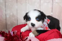 processed/1a0c54f3-cf9e-45c9-ad72-b18cdc9a7753/listing/c285535c-ab1b-42a4-9de0-0d19588ed63b/457ad119-077e-4e62-9ccd-ca97de680978